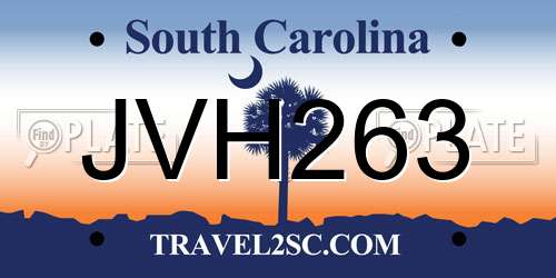 JVH263 South Carolina License Plate