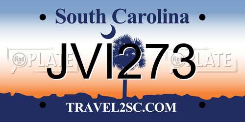 JVI273 South Carolina License Plate