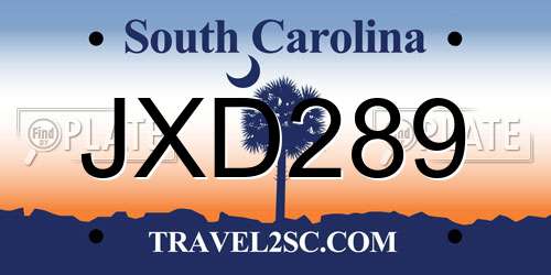 JXD289 South Carolina License Plate