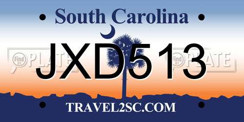 JXD513 South Carolina License Plate