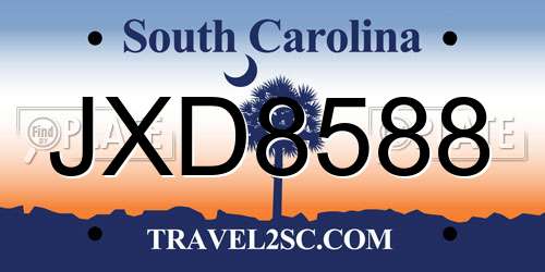 JXD8588 South Carolina License Plate