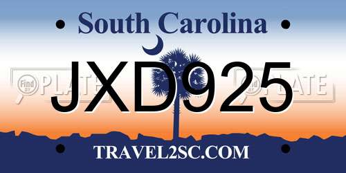JXD925 South Carolina License Plate