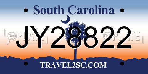 JY28822 South Carolina License Plate