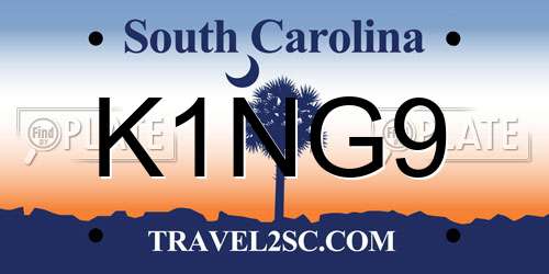 K1NG9 South Carolina License Plate