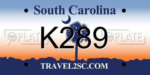 K289 South Carolina License Plate