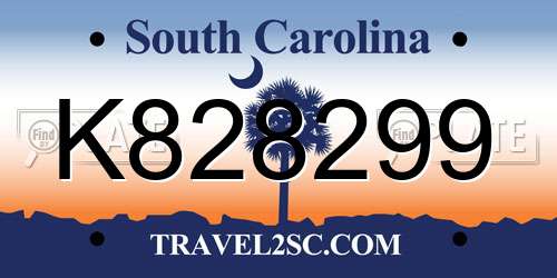 K828299 South Carolina License Plate