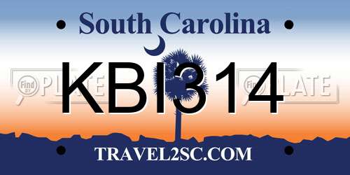 KBI314 South Carolina License Plate