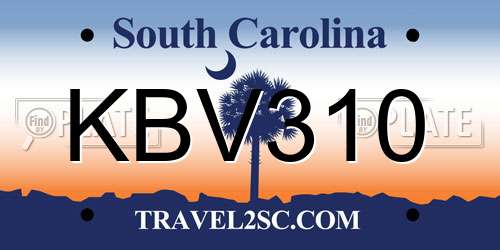 KBV310 South Carolina License Plate