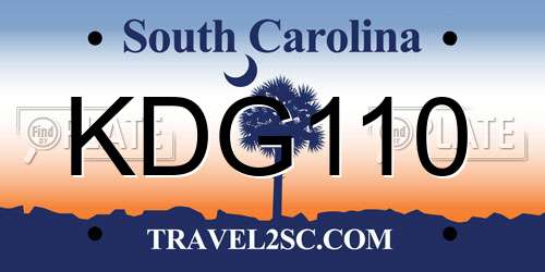 KDG110 South Carolina License Plate