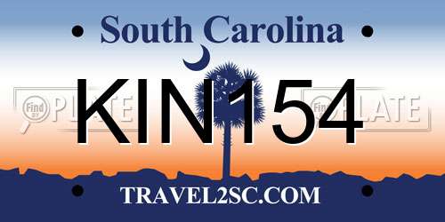 KIN154 South Carolina License Plate