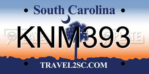 KNM393 South Carolina License Plate