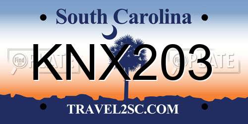 KNX203 South Carolina License Plate