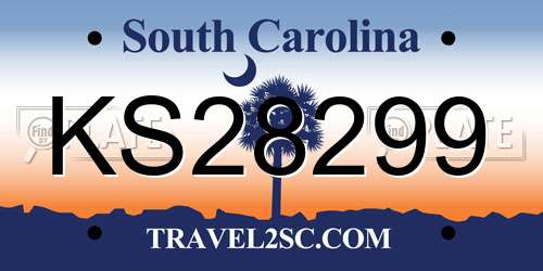 KS28299 South Carolina License Plate