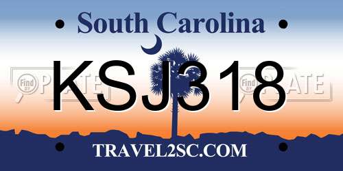 KSJ318 South Carolina License Plate