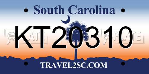 KT20310 South Carolina License Plate