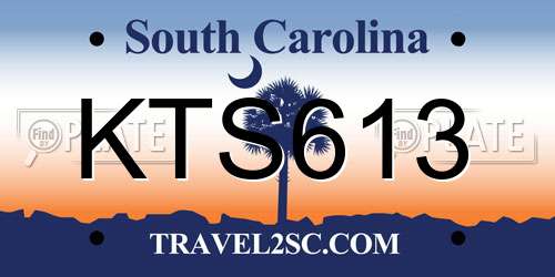 KTS613 South Carolina License Plate