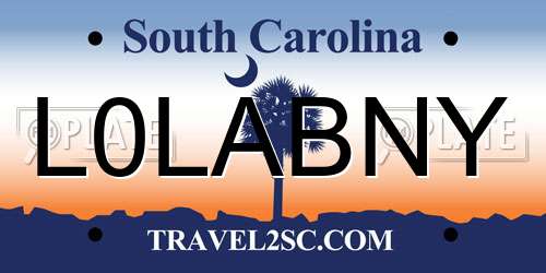 L0LABNY South Carolina License Plate
