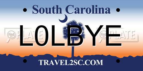 L0LBYE South Carolina License Plate