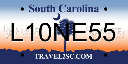 L10NE55 South Carolina License Plate