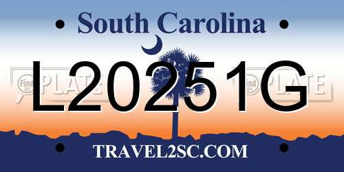 L20251G South Carolina License Plate