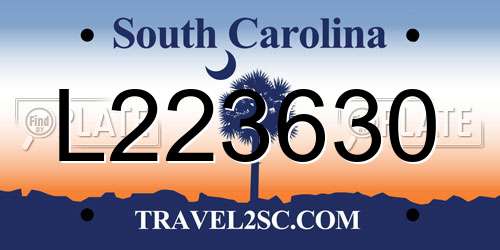L223630 South Carolina License Plate