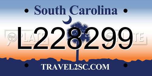 L228299 South Carolina License Plate