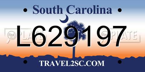L629197 South Carolina License Plate