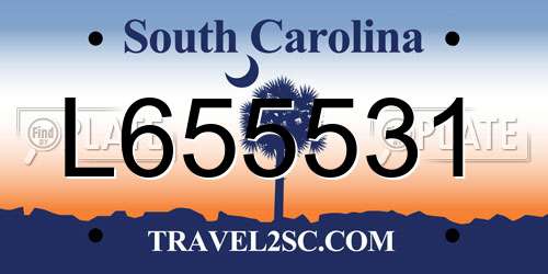 L655531 South Carolina License Plate