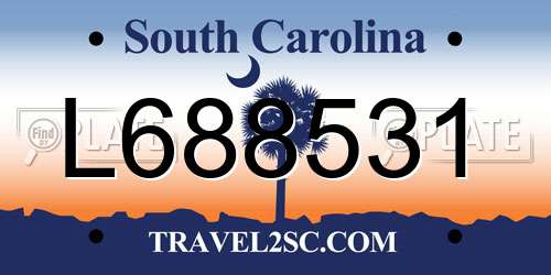 L688531 South Carolina License Plate