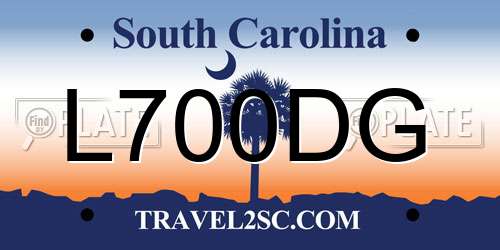 L700DG South Carolina License Plate
