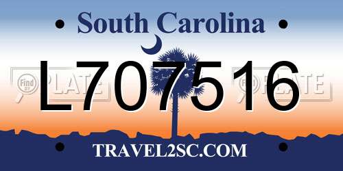 L707516 South Carolina License Plate