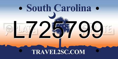 L725799 South Carolina License Plate