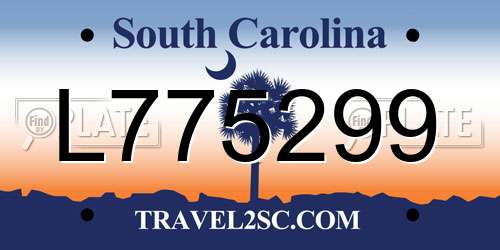 L775299 South Carolina License Plate