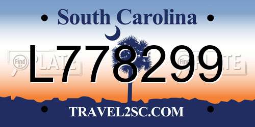 L778299 South Carolina License Plate