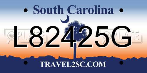 L82425G South Carolina License Plate