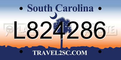 L824286 South Carolina License Plate