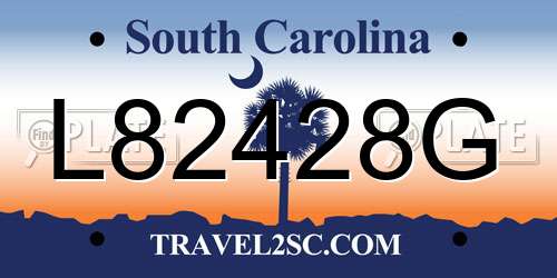 L82428G South Carolina License Plate