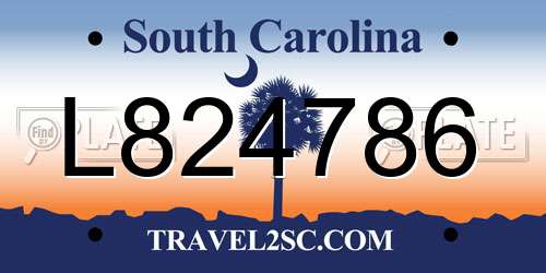 L824786 South Carolina License Plate