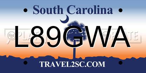 L89GWA South Carolina License Plate