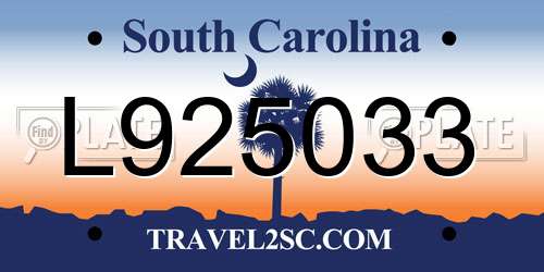 L925033 South Carolina License Plate