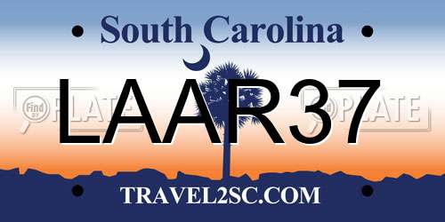 LAAR37 South Carolina License Plate