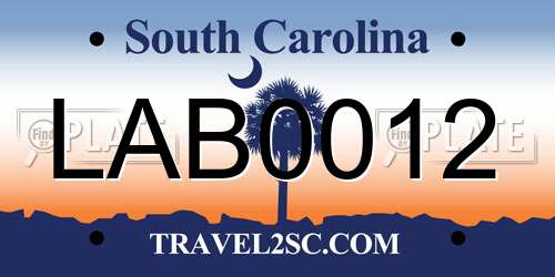 LAB0012 South Carolina License Plate