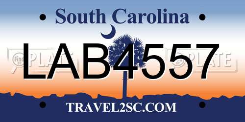 LAB4557 South Carolina License Plate