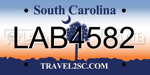 LAB4582 South Carolina License Plate