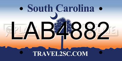 LAB4882 South Carolina License Plate