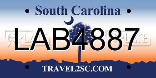 LAB4887 South Carolina License Plate