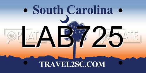 LAB725 South Carolina License Plate
