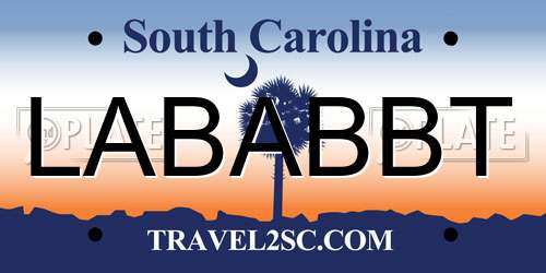 LABABBT South Carolina License Plate