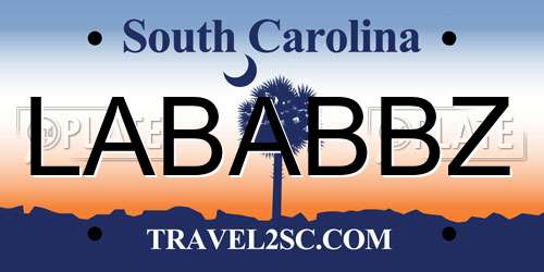 LABABBZ South Carolina License Plate