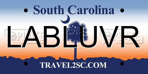LABLUVR South Carolina License Plate